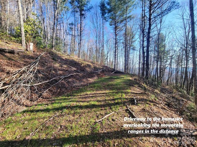 111 Digging Seng Trail 138, Waynesville, NC 28785