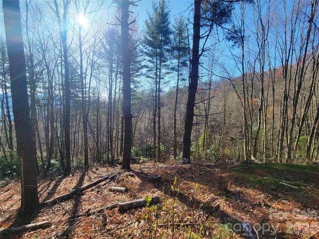 111 Digging Seng Trail 138, Waynesville, NC 28785