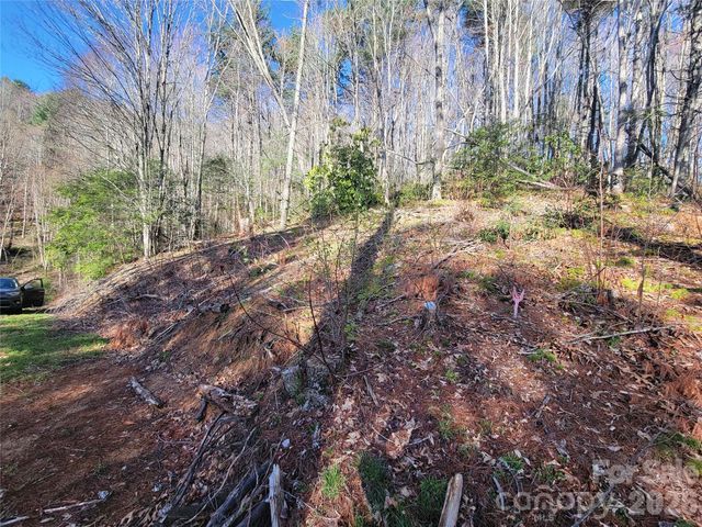 111 Digging Seng Trail 138, Waynesville, NC 28785