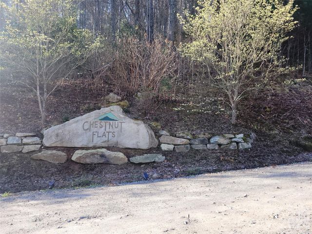 111 Digging Seng Trail 138, Waynesville, NC 28785