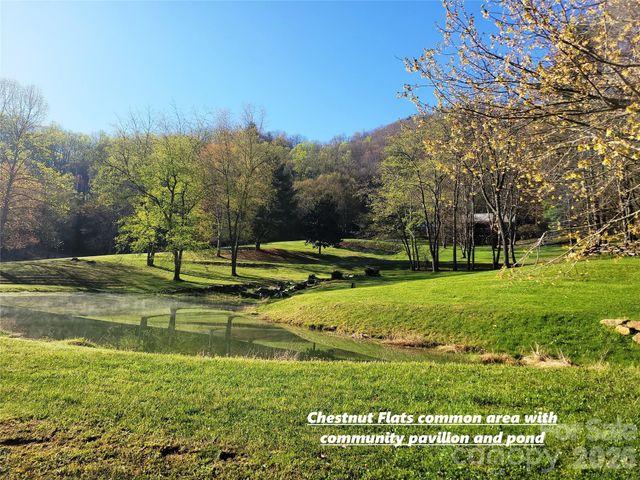 111 Digging Seng Trail 138, Waynesville, NC 28785
