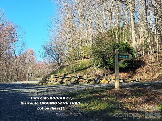 111 Digging Seng Trail 138, Waynesville, NC 28785