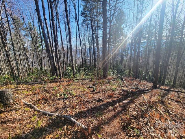 111 Digging Seng Trail 138, Waynesville, NC 28785
