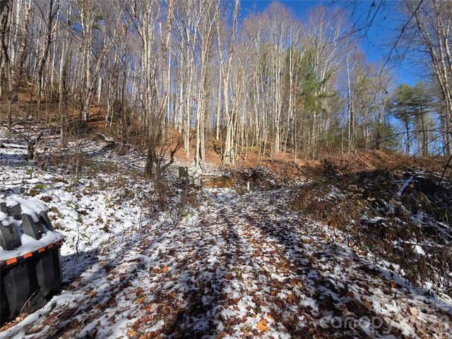 111 Digging Seng Trail 138, Waynesville, NC 28785