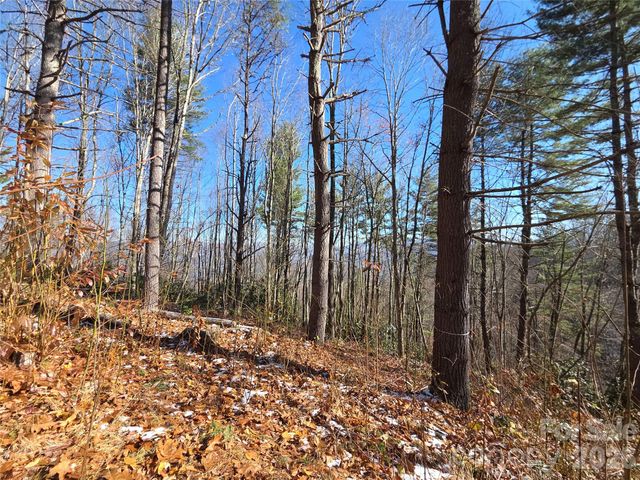 111 Digging Seng Trail 138, Waynesville, NC 28785