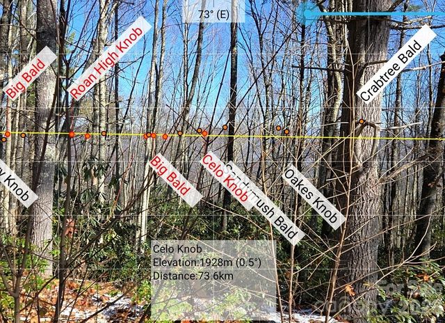 111 Digging Seng Trail 138, Waynesville, NC 28785