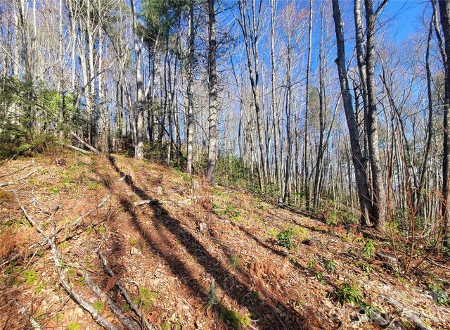 111 Digging Seng Trail 138, Waynesville, NC 28785