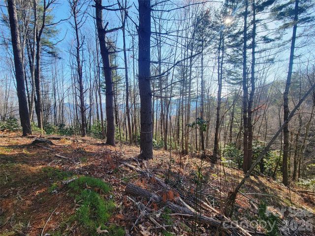 111 Digging Seng Trail 138, Waynesville, NC 28785