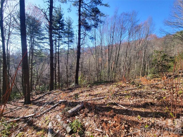 111 Digging Seng Trail 138, Waynesville, NC 28785