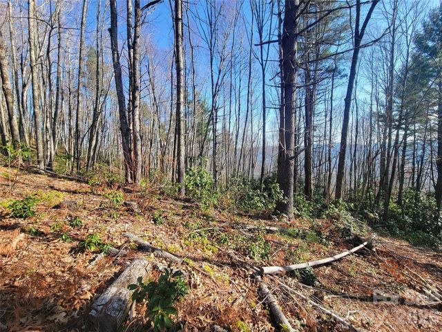 111 Digging Seng Trail 138, Waynesville, NC 28785