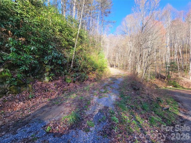 111 Digging Seng Trail 138, Waynesville, NC 28785