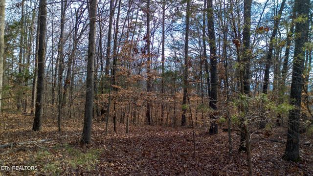 Tract 4 Armstrong Drive, Dandridge, TN 37725