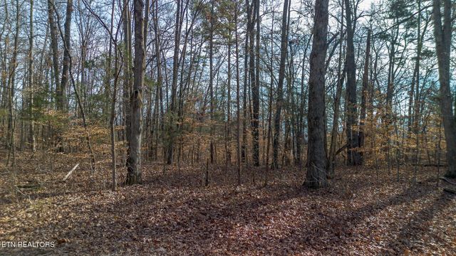 Tract 4 Armstrong Drive, Dandridge, TN 37725