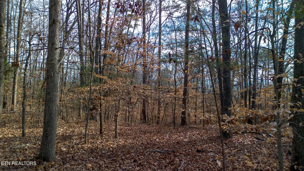 Tract 4 Armstrong Drive, Dandridge, TN 37725