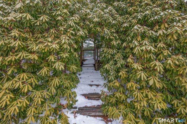 49 Dewberry Road, Waterbury, CT 06705