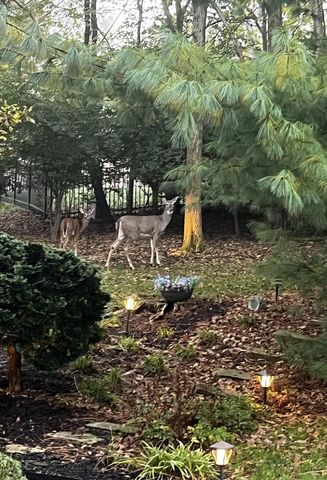 10653 Chenery Cove, Union, KY 41091