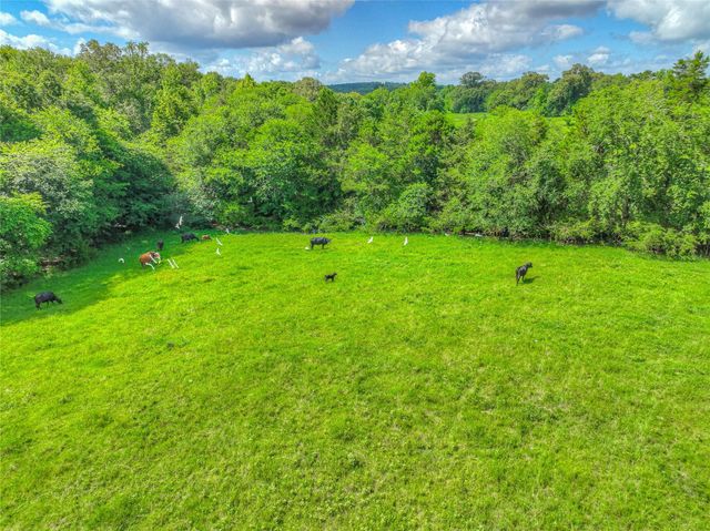 000 County Road 1750, Grapeland, TX 75844