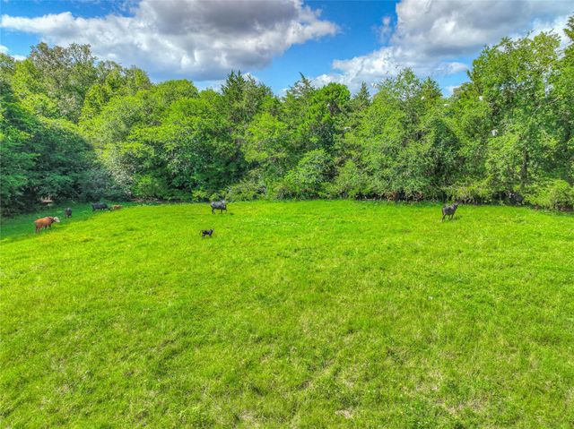000 County Road 1750, Grapeland, TX 75844