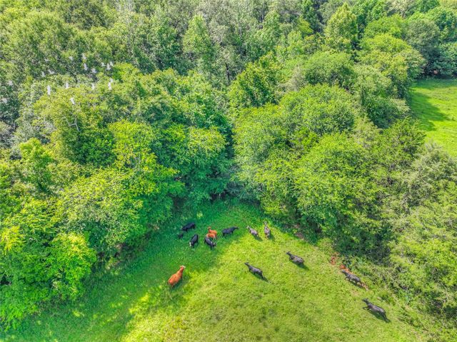 000 County Road 1750, Grapeland, TX 75844