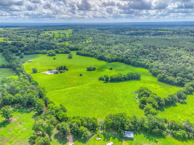 000 County Road 1750, Grapeland, TX 75844