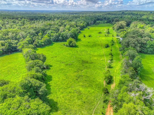 000 County Road 1750, Grapeland, TX 75844