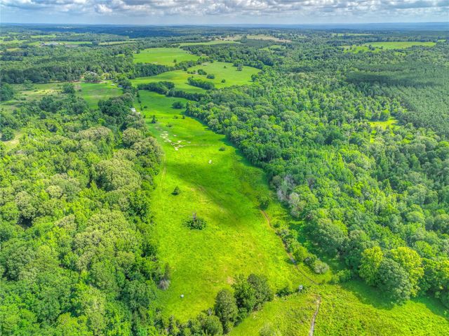 000 County Road 1750, Grapeland, TX 75844