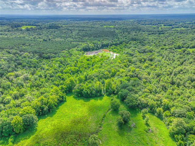 000 County Road 1750, Grapeland, TX 75844
