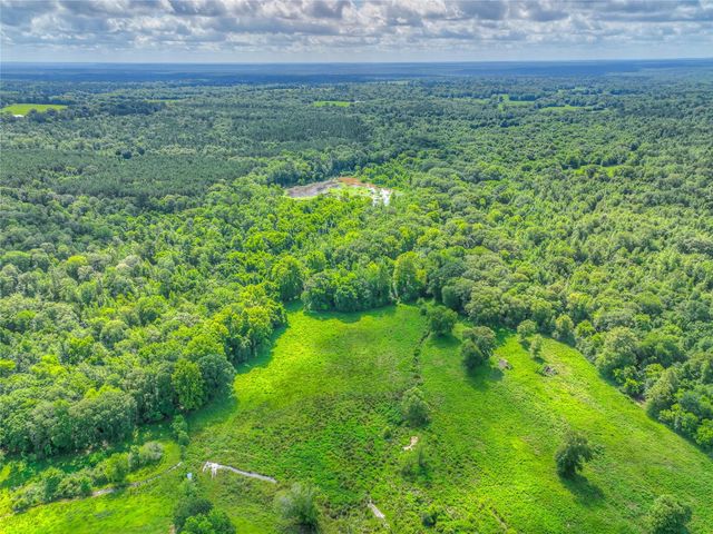 000 County Road 1750, Grapeland, TX 75844