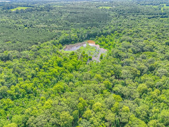 000 County Road 1750, Grapeland, TX 75844