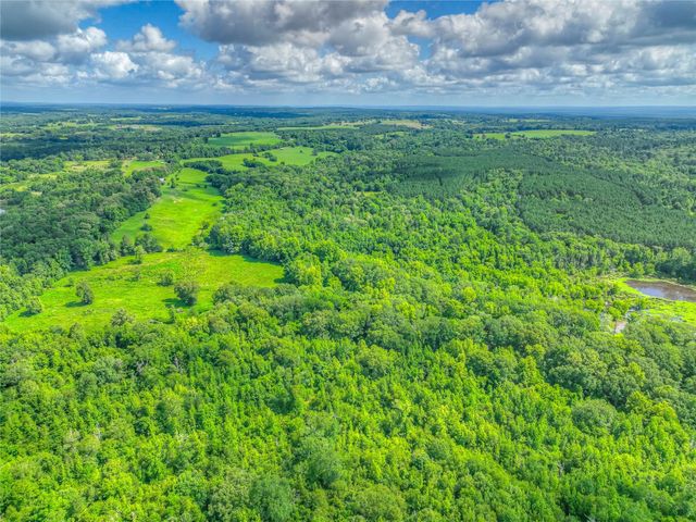 000 County Road 1750, Grapeland, TX 75844
