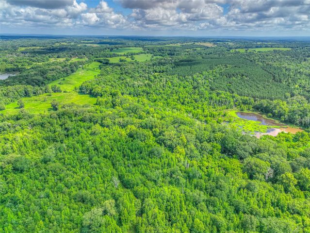 000 County Road 1750, Grapeland, TX 75844