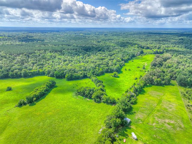 000 County Road 1750, Grapeland, TX 75844