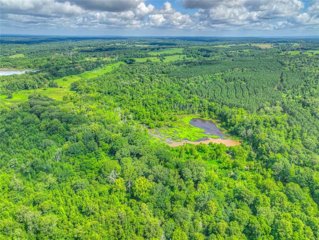 000 County Road 1750, Grapeland, TX 75844
