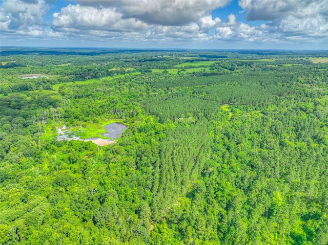 000 County Road 1750, Grapeland, TX 75844