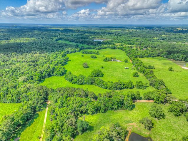 000 County Road 1750, Grapeland, TX 75844