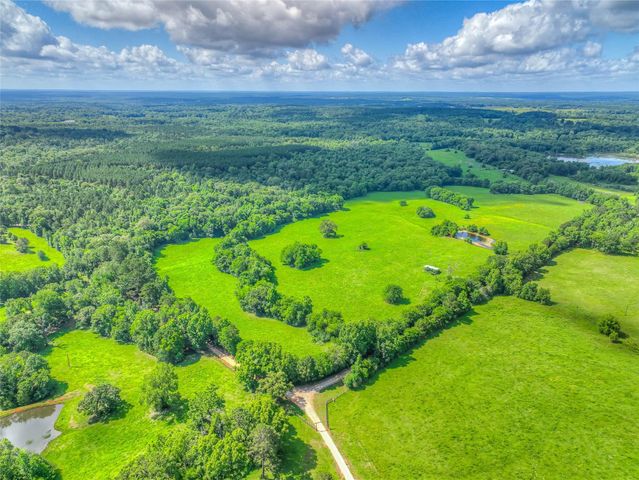 000 County Road 1750, Grapeland, TX 75844