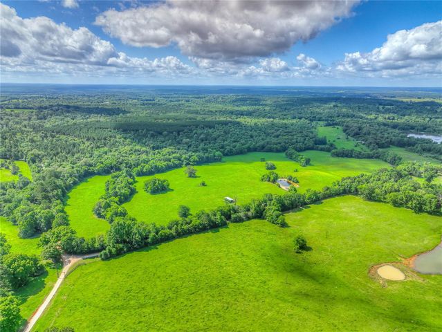 000 County Road 1750, Grapeland, TX 75844