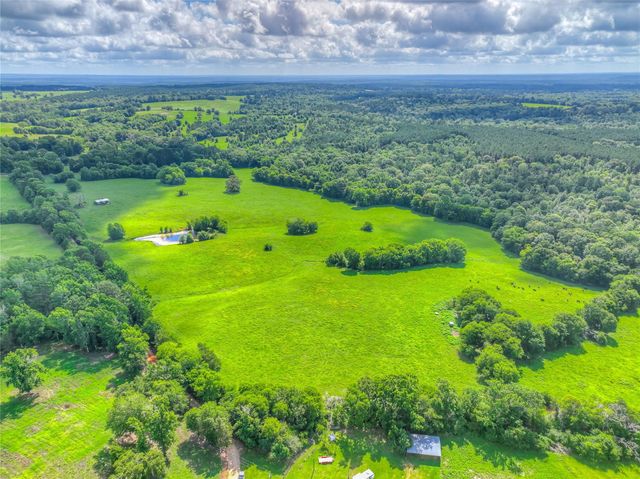 000 County Road 1750, Grapeland, TX 75844