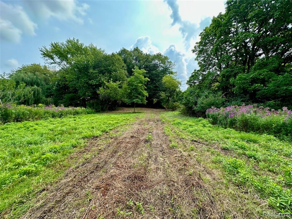 0 Latson Road, Howell, MI 48843