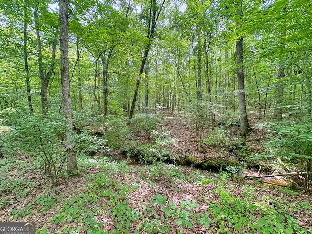 254 Norwood Road, Hogansville, GA 30230