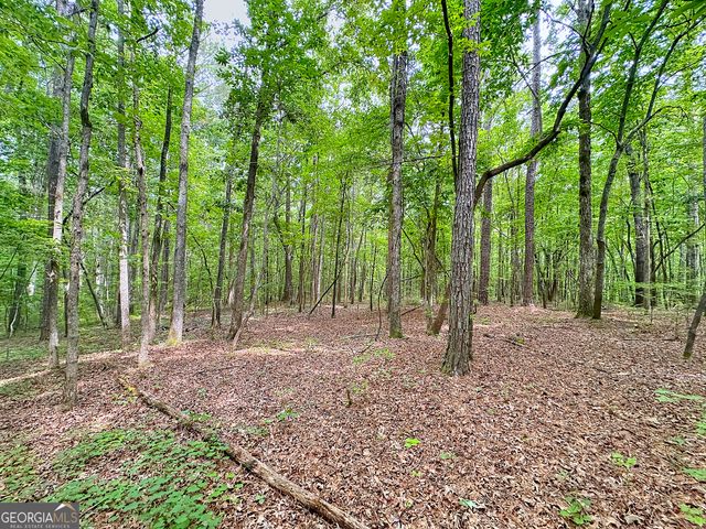 254 Norwood Road, Hogansville, GA 30230