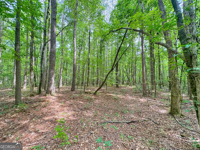 254 Norwood Road, Hogansville, GA 30230