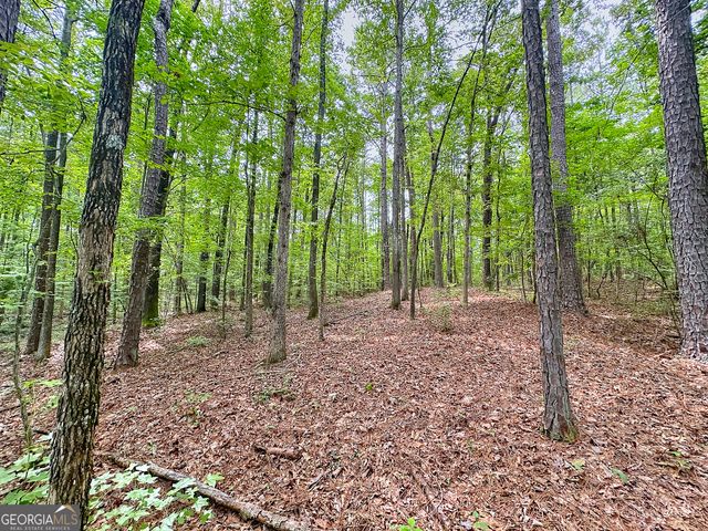 254 Norwood Road, Hogansville, GA 30230
