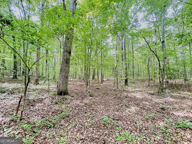 254 Norwood Road, Hogansville, GA 30230