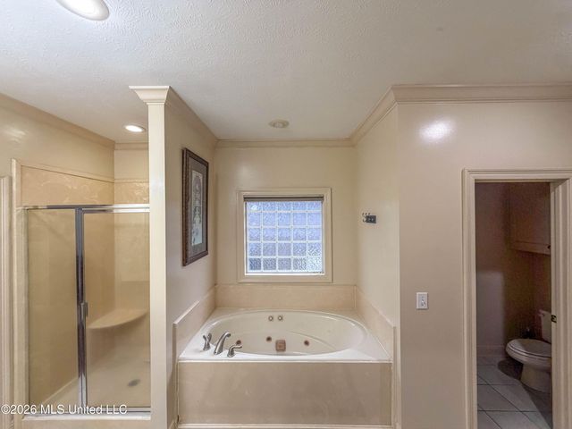 137 Vineyard Boulevard, Brandon, MS 39047