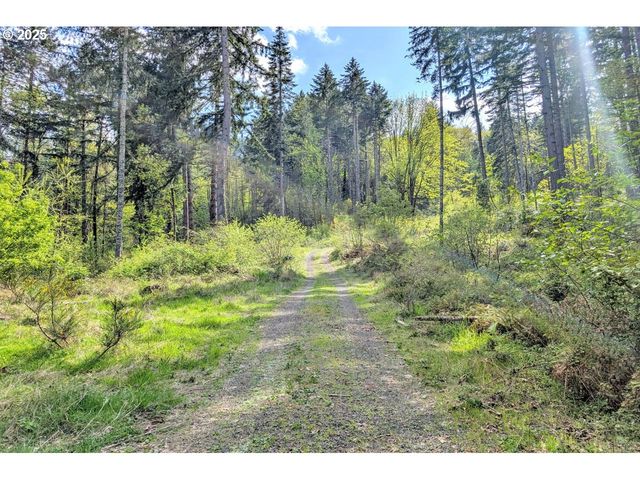 38220 BOSCAGE Ln, Springfield, OR 97477