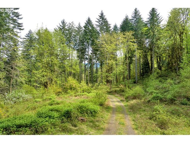 38220 BOSCAGE Ln, Springfield, OR 97477