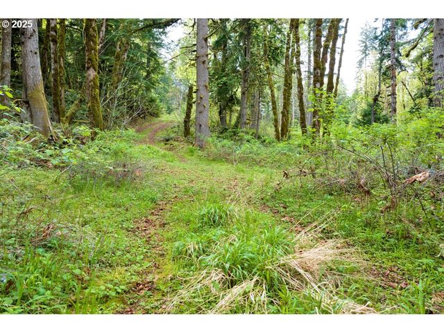 38220 BOSCAGE Ln, Springfield, OR 97477