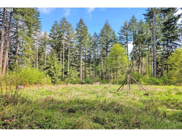 38220 BOSCAGE Ln, Springfield, OR 97477