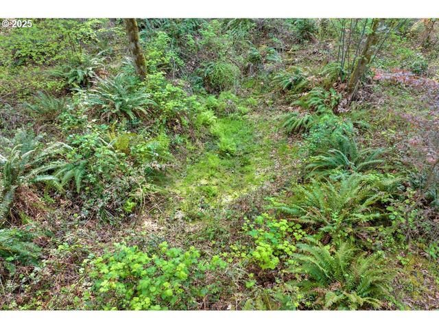 38220 BOSCAGE Ln, Springfield, OR 97477